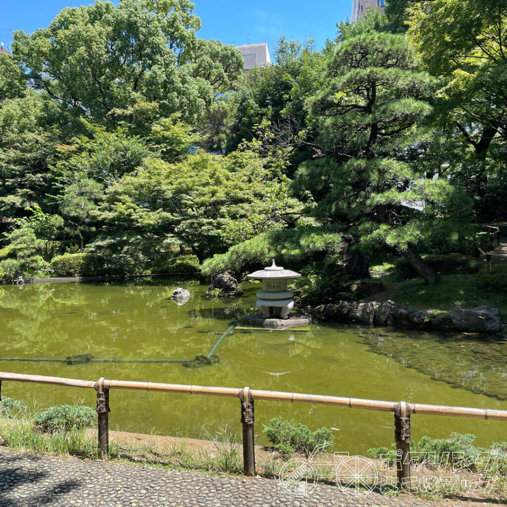 横浜公園・日本庭園